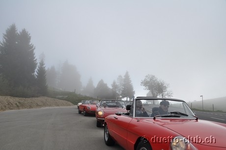 DSC_0049.jpg