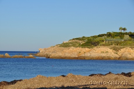 DSC_0952.jpg