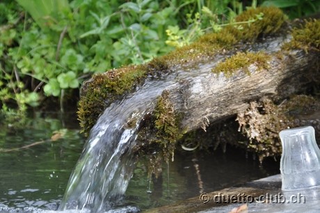 DSC_0609.jpg
