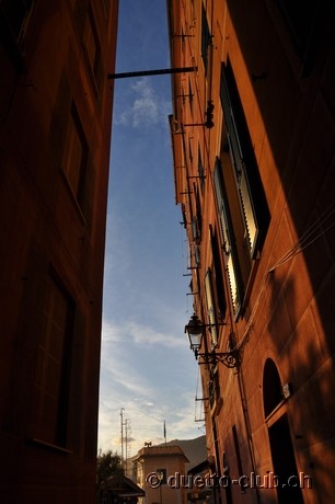 DSC_0044.jpg