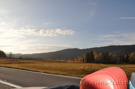 DSC_0335.jpg