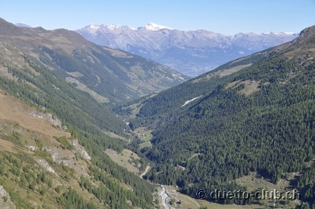 DSC_0430.jpg