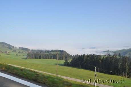 DSC_0038.jpg