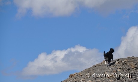 DSC_1207.jpg