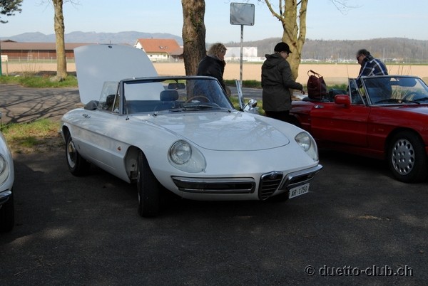 DSC_6618.jpg