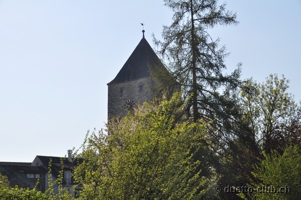 DSC_0013.jpg