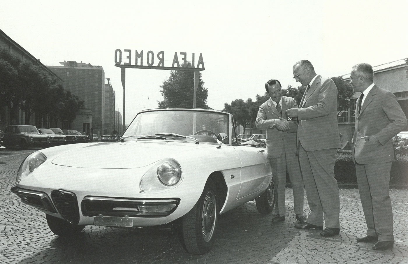 spider1600-3.jpg