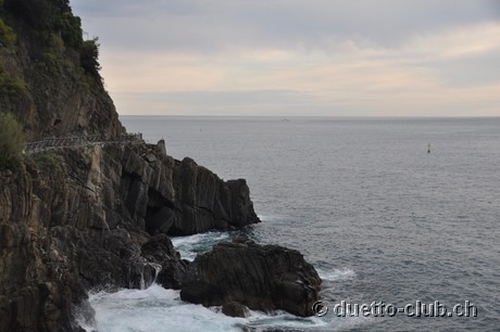 DSC_0295.jpg