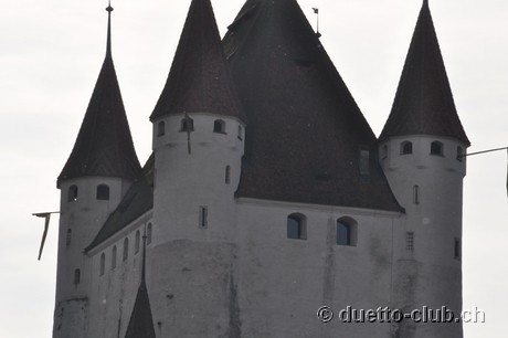 DSC_0218.jpg