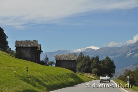 DSC_0207.jpg