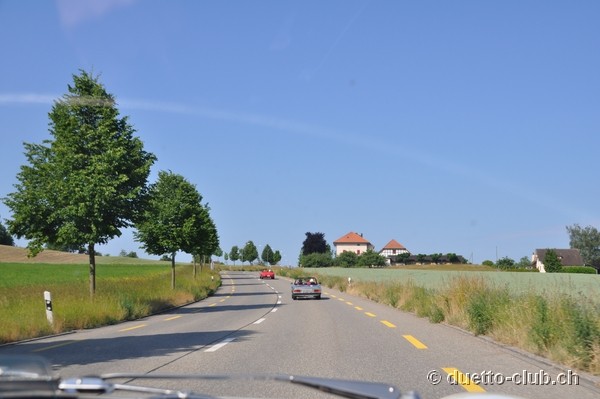 DSC_0010.jpg