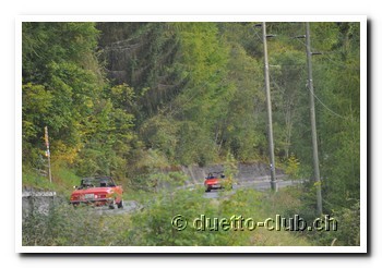 DSC_0155.jpg