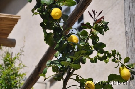 DSC_0111.jpg