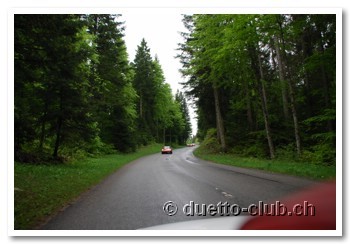 DSC_0170.jpg