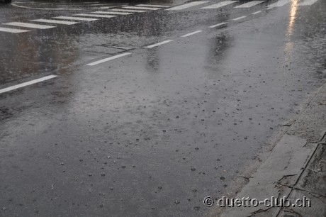 DSC_0232.jpg