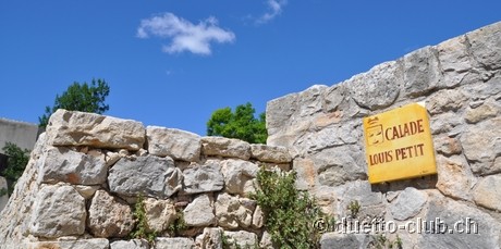 DSC_0696.jpg