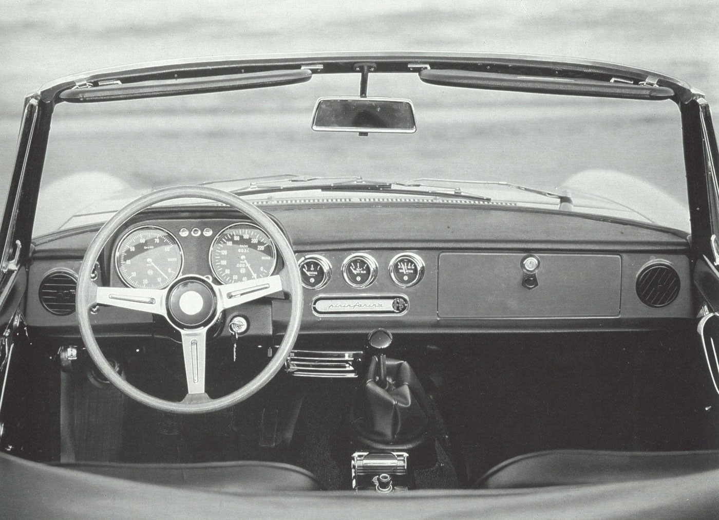 spider1750-4.jpg
