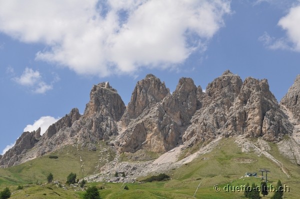DSC_0317.jpg