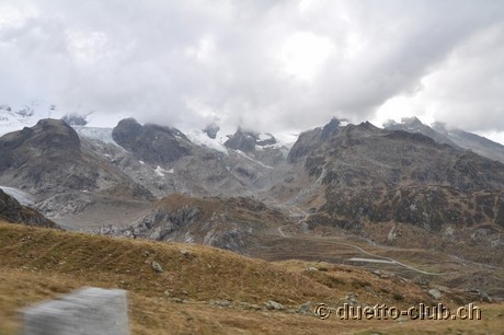 DSC_0331.jpg