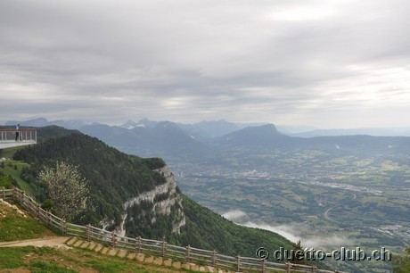 DSC_0224.jpg