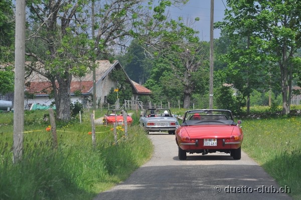 DSC_0238.jpg