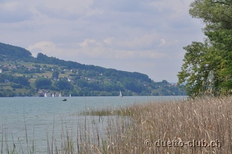 DSC_0164.jpg