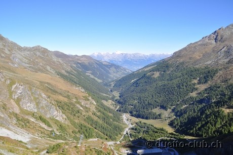 DSC_0424.jpg