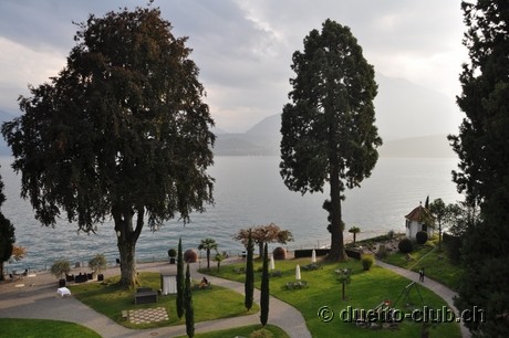 DSC_0147.jpg