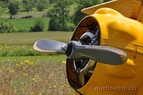 DSC_0348.jpg