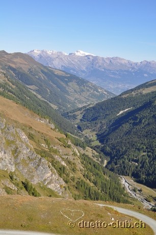 DSC_0396.jpg
