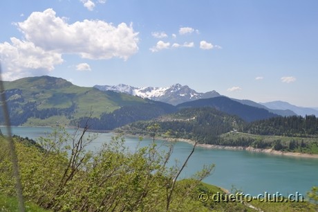 DSC_1378.jpg