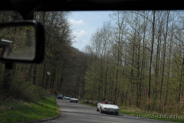 DSC_6684.jpg