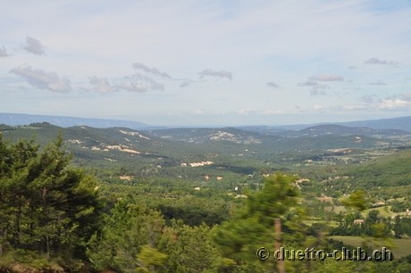 DSC_0523.jpg