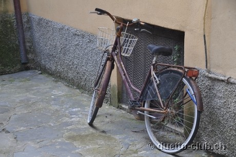 DSC_0250.jpg