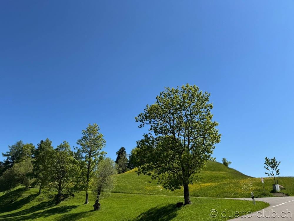 2025-05-11-a-08.jpg