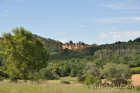 DSC_0514.jpg