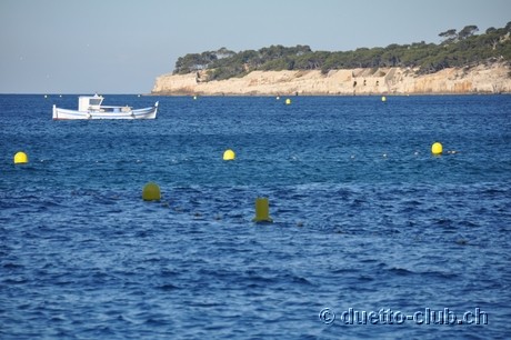 DSC_0805.jpg