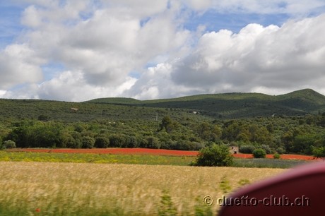 DSC_0516.jpg