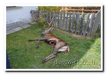 DSC_0178.jpg