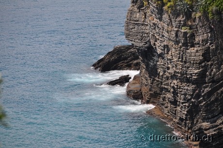 DSC_0278.jpg