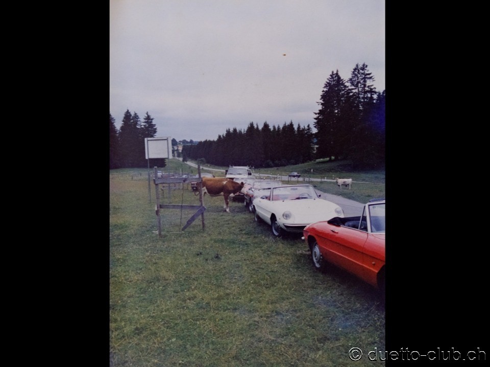 1988-bielersee-04-quer.jpg