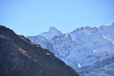 DSC_0440.jpg