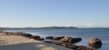 DSC_0951.jpg