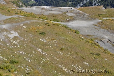 DSC_0443.jpg