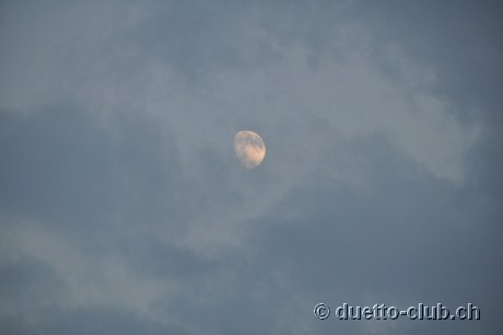 DSC_0181.jpg