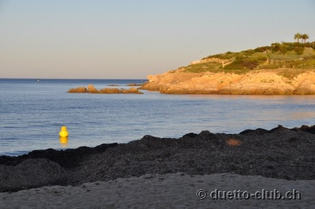 DSC_0956.jpg