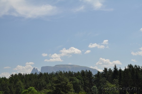 DSC_0282.jpg
