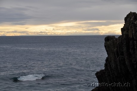 DSC_0197.jpg