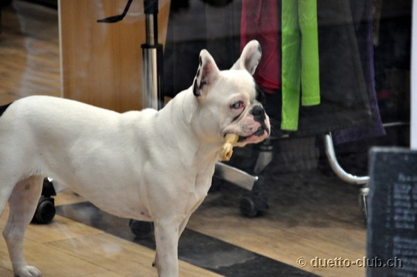 DSC_0666.jpg