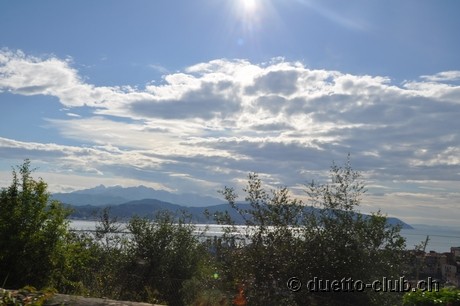 DSC_0314.jpg